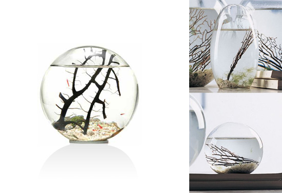 The EcoSphere ecosystem gift inspired by NASA | TicaToca